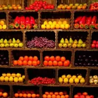 استخدام کارگر با سابقه بالا در میوه فروشی