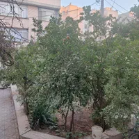 اجاره آپارتمان سه ۳ طبقه مستقل دربستی با حیاط مشجر|اجارهٔ خانه و ویلا|تهران, شادمان|دیوار