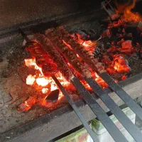 شاگرد کبابی یا ساندویچی