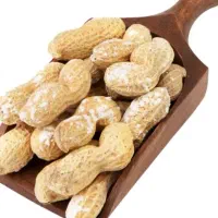 بادام زمینی برای خانوار تحویل درب منزل ضمانتی