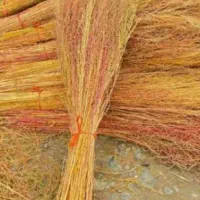 جاروشهرداری