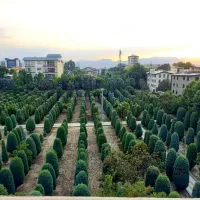 فروش-زمین-از-500-متر-تا-5000-متر-چمن