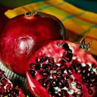 پیشفروش نهال انار ساوه|خدمات باغبانی و درختکاری|اصلاندوز, |دیوار