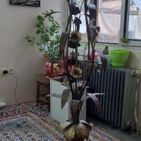 اباژور وچراغ خواب|چراغ خواب و آباژور|ارومیه, |دیوار