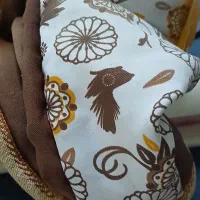 کالسکه و روروک بچه و کاور و غیره|کالسکه و لوازم جانبی|دهگلان, |دیوار