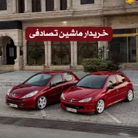 207mc فول تقویت شده/ تصادفی