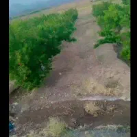 باغ میوه فروشی