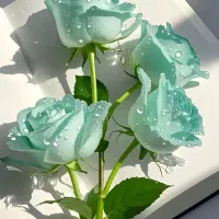 راهنمایی پیش دبستان پسرانه