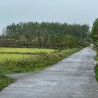 زمین ۳۰۰۰ متری  بر اصلی پستک المان|فروش زمین و ملک کلنگی|رشت, پستک|دیوار