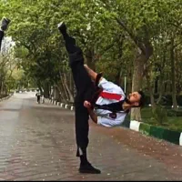 آموزش هنر های رزمی