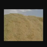 فروش کا گندم