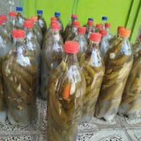 فروش خیار شور خوشمزه به شرط