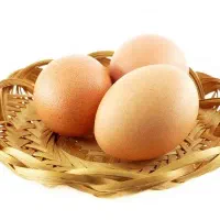 تخم مرغ محلی درجه یک