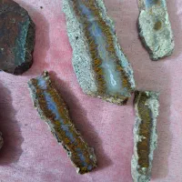 شجر|کلکسیون اشیاء عتیقه|قم, انصارالحسین|دیوار