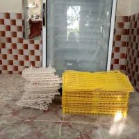 دستگاه جوجه کشی بلدرچین دماوند
