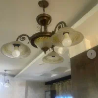 لوسترسه شاخه