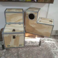 لانه لونه آغول کاسکو شاه طوطی