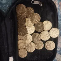 سکه طرح ساسانی|صنایع دستی و سایر لوازم تزئینی|تهران, تهران‌نو|دیوار