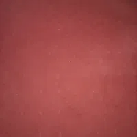 موکت ۱۲۰۰|موکت|اقبالیه, |دیوار