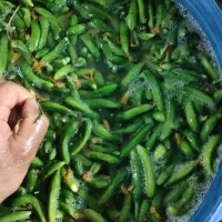 عمده فروشی|خدمات پذیرایی، مراسم|دهدشت, |دیوار