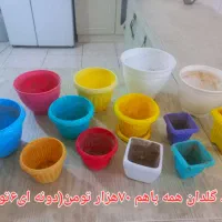 گل آلوئه ورا.گل طبیعی وگلدان سرامیکی وپلاستیکی|حراج|قم, باسکول|دیوار