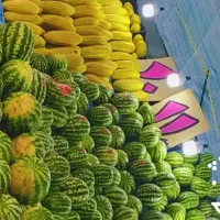 شاگرد میوه فروشی