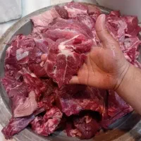 گوسفندی گوساله مرغ تازه کشتارروز|خوردنی و آشامیدنی|تهران, یافت آباد شمالی|دیوار