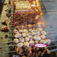 نیروی جگرکی شراکت