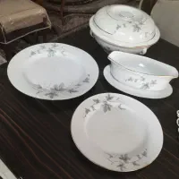 سرویس چینی و پلو خوری وخورشت خوری آرکوپال فرانسوی