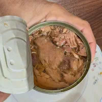 تن ماهی گیدر