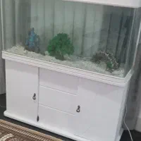 آکواریوم بزرگ با کمد،دارای چراغ
