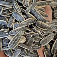 لوبیا چیتی و سفید خمین ارگانیک و خوشپخت|خوردنی و آشامیدنی|کاشان, فاز ۱ ناجی آباد|دیوار