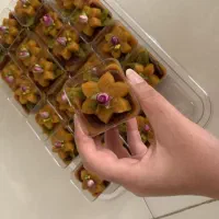 غذای خانگی|خوردنی و آشامیدنی|قم, هنرستان|دیوار