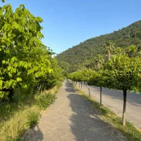 اجاره آپارتمان در شهرک نمک آبرود