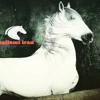 فروش تعدادی اسب