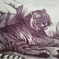 پتو پلنگی قدیمی ،بزرگ دو نفره ،نو