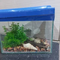 تعدادی لوازم منزل|ظروف سرو و پذیرایی|قم, شهرک قدس|دیوار