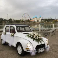 ماشین عروس