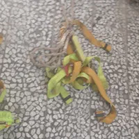 فروش کمربند ایمنی کار در ارتفاع