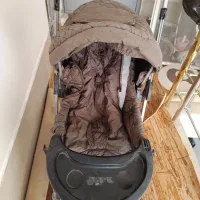 کالسکه دلیجان|کالسکه و لوازم جانبی|پیشوا, |دیوار