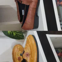 کفش نو|کیف، کفش، کمربند|بجنورد, |دیوار