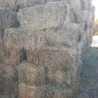 یونجه پرس شده