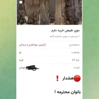 عکس راورق بزنید|فعالیت داوطلبانه|اسفراین, |دیوار