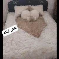رو تختی در حد نو