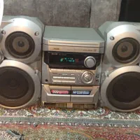 ضبط خانگی