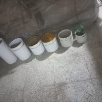 گلدون سالم دونه ای ۱۵۰