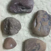 چند قطعه شهاب سنگ ویک سنگ الماسی  اسیابی