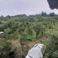 سرمایه گذاری مطمئن