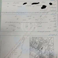 فروش-زمین-کشاورزی