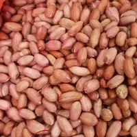 استخدام کارگر کارخانه بادام زمینی|استخدام صنعتی، فنی، مهندسی|آستانه اشرفیه, |دیوار